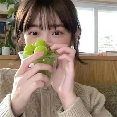极地漫步